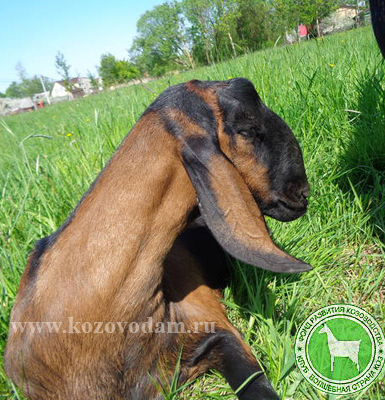 Терра2 1 Ирина Валентиновна