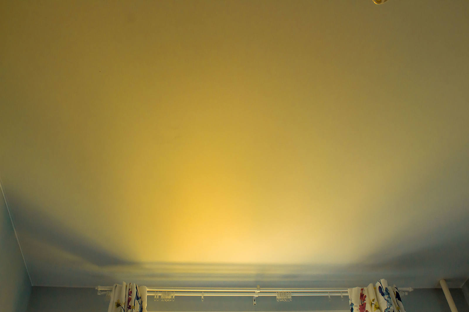 0IMG 1482 0IMG 1482