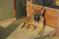 VFL.RU - ваш фотохостинг