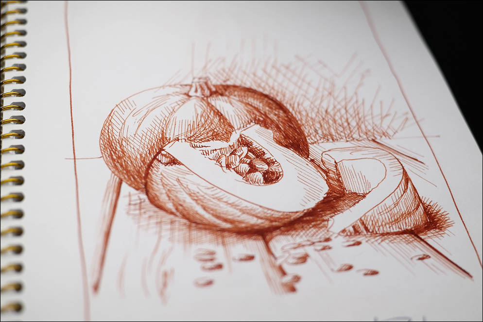 01. Pumpkin. Inktober2021. Lenskiy.org