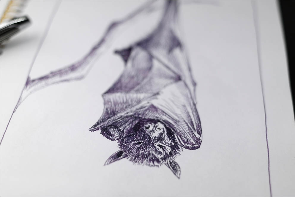 06. Bat. Spooktacular2021. Lenskiy.org