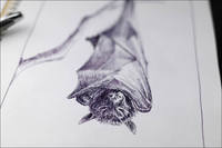 VFL.RU - ваш фотохостинг