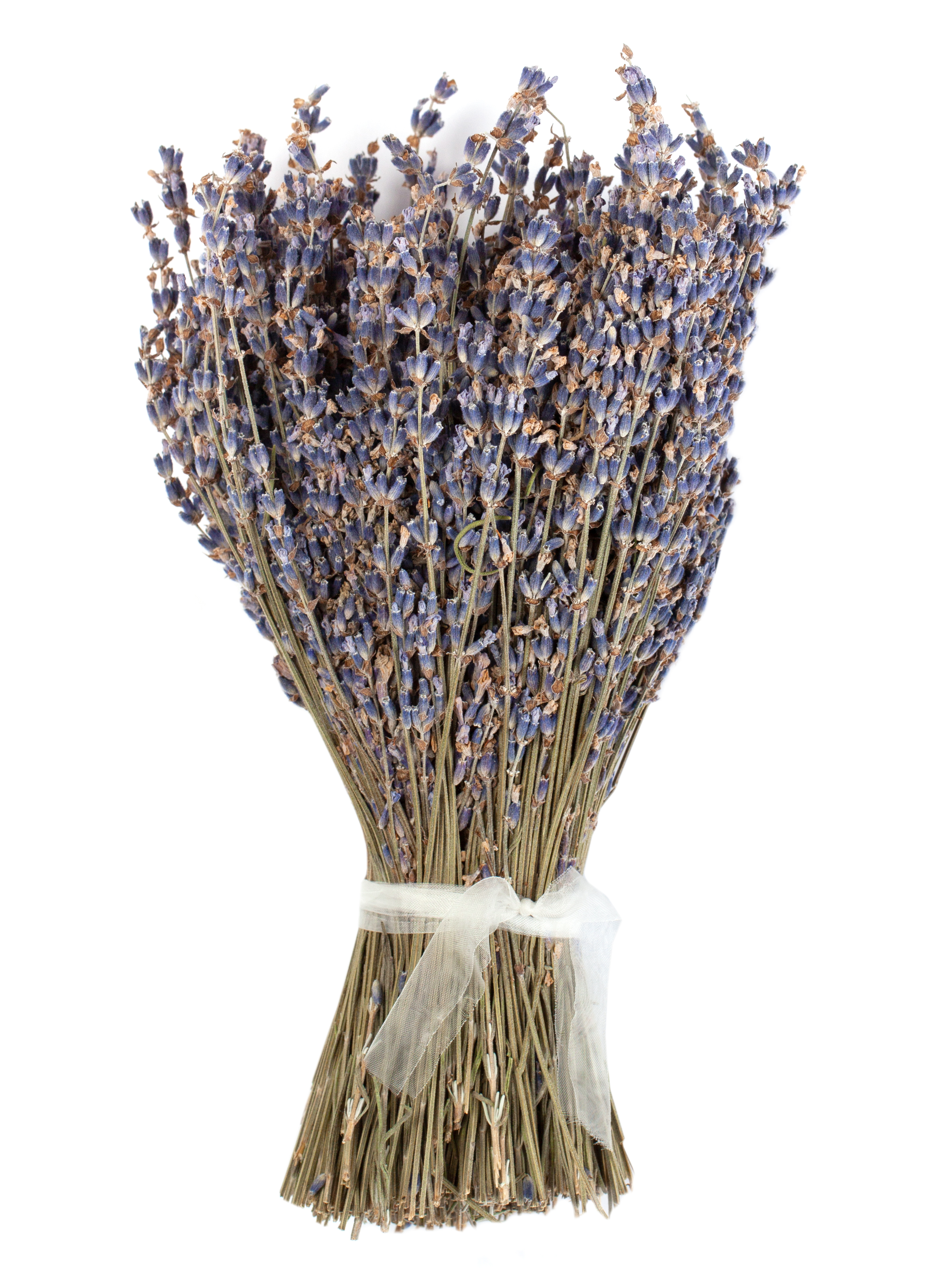 НАШ Букет Лаванда 3
