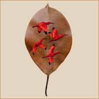 художница Лаура Далла Веккья