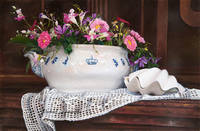 художник Danka Weitze16