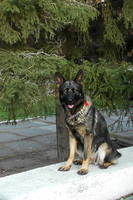 VFL.RU - ваш фотохостинг