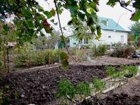 Дачный мотив... Из приключений штыковой лопаты (21)