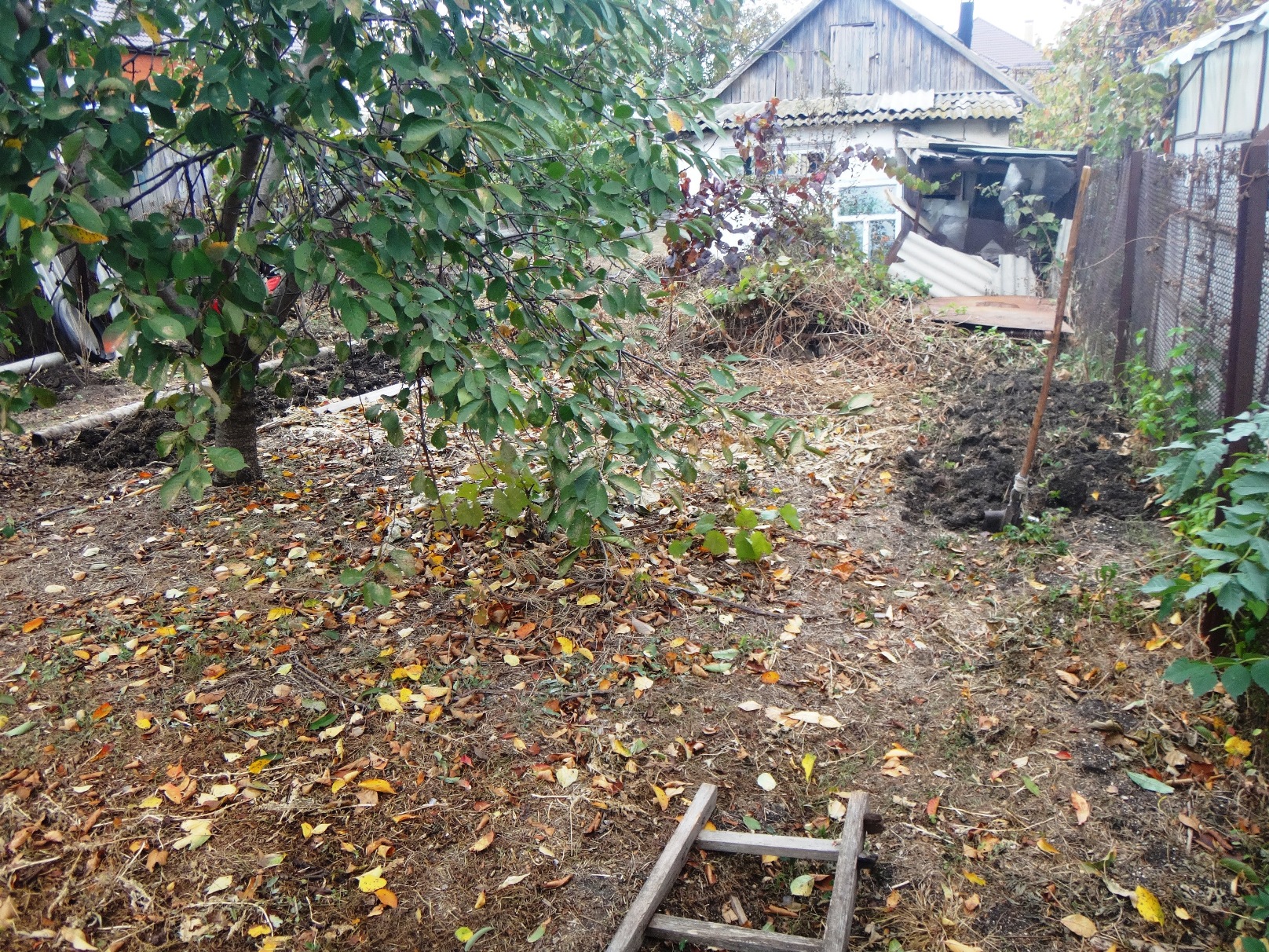 Дачный мотив... Из приключений штыковой лопаты (28)