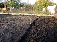 Дачный мотив... Из приключений штыковой лопаты (30)