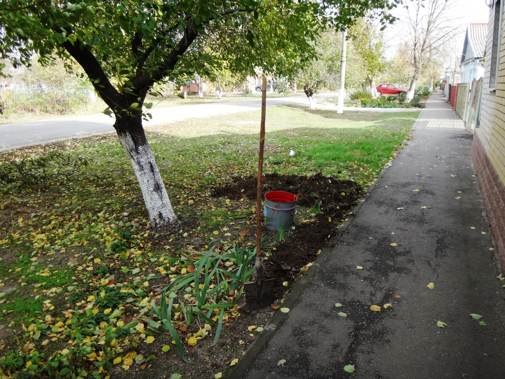 Дачный мотив... Из приключений штыковой лопаты (48)