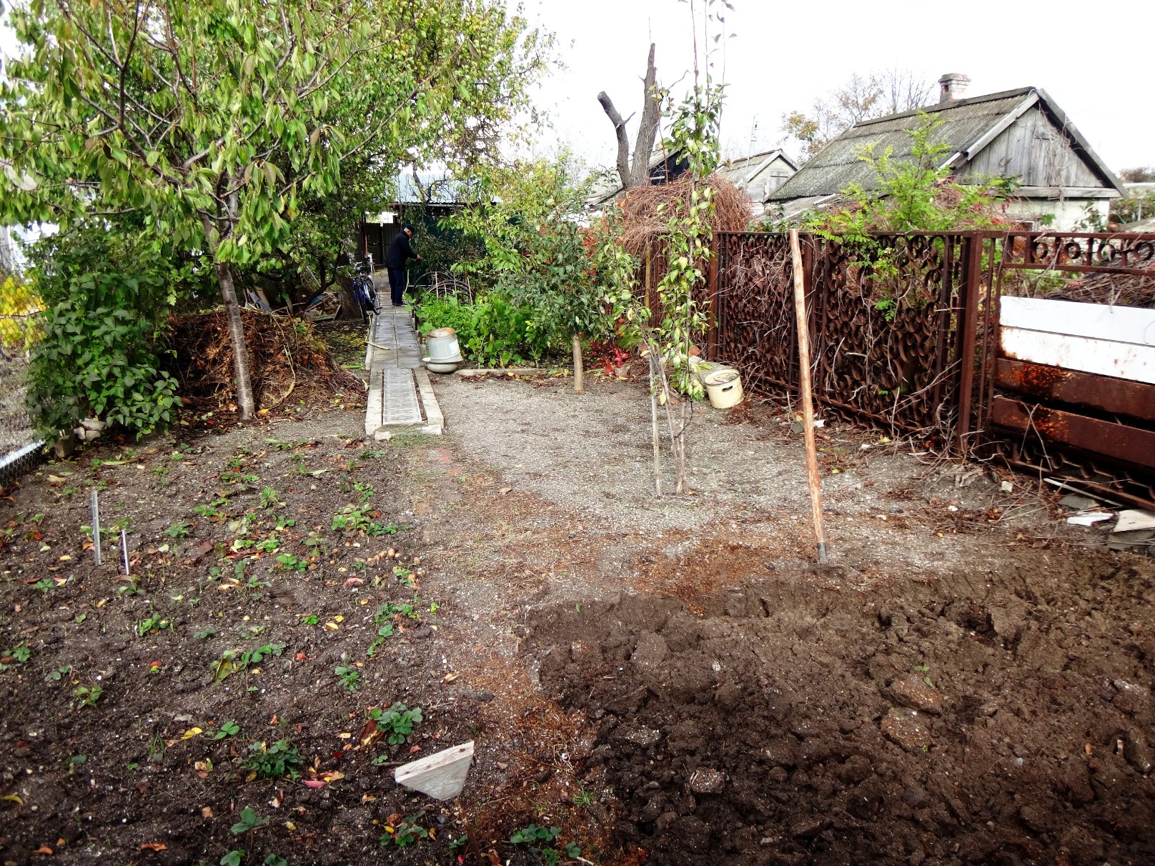 Дачный мотив... Из приключений штыковой лопаты (47)