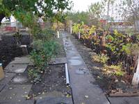 Дачный мотив... Из приключений штыковой лопаты (46)