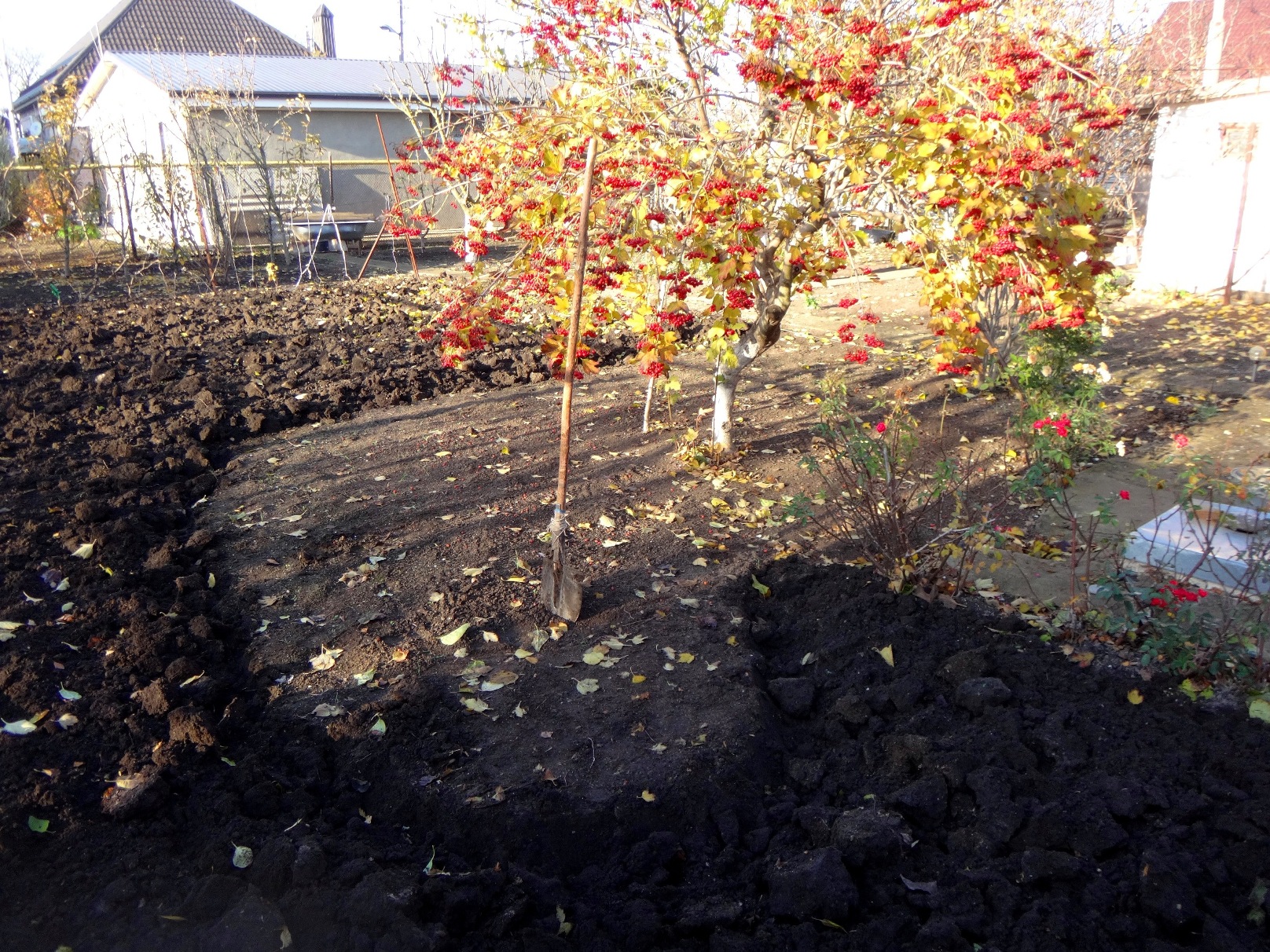 Дачный мотив... Из приключений штыковой лопаты (62)