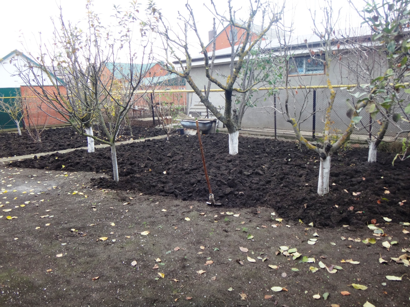 Дачный мотив... Из приключений штыковой лопаты (64)