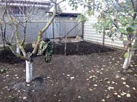 Дачный мотив... Из приключений штыковой лопаты (63)