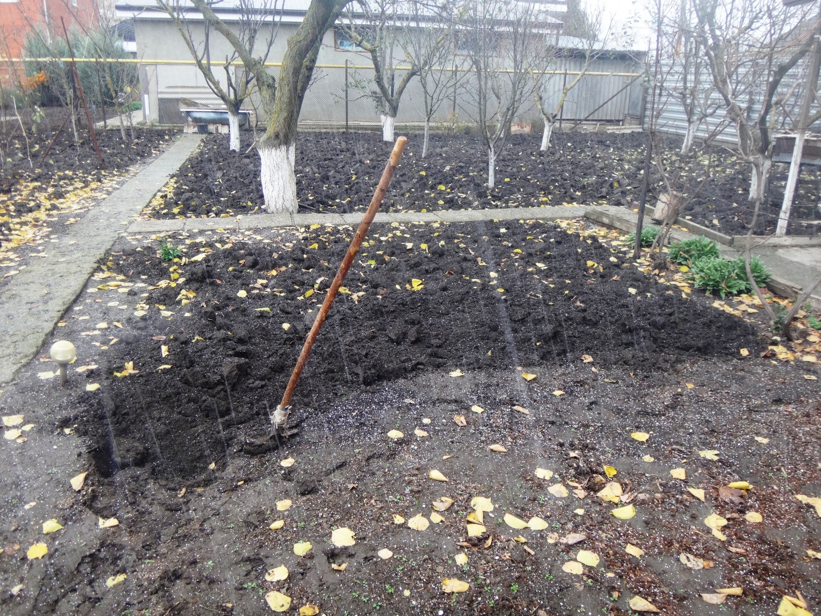 Дачный мотив... Из приключений штыковой лопаты (70)