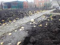 Дачный мотив... Из приключений штыковой лопаты (71)