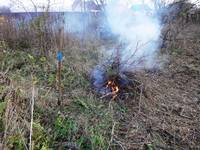 Дачный мотив... Из приключений штыковой лопаты (78)