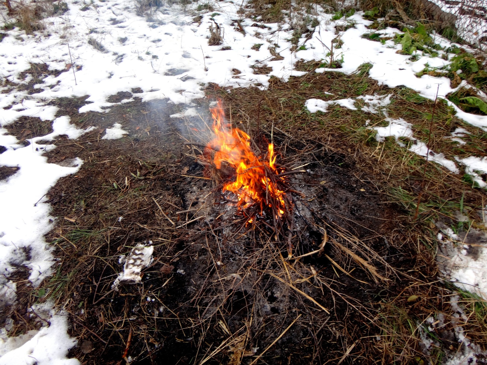 Дачный мотив... Из приключений штыковой лопаты (82)
