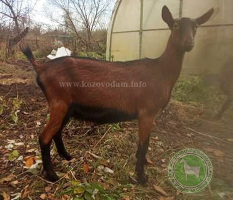 Ральча 2 ЛПХ Смирновских