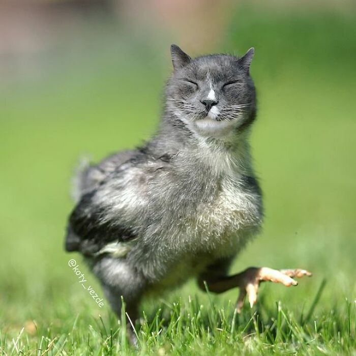 фото-картины Галины Бугаевской9