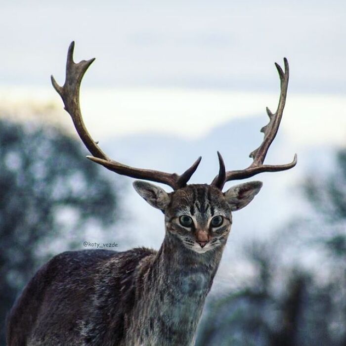 фото-картины Галины Бугаевской17