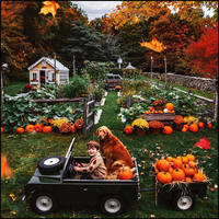 фотограф Киль Джеймс Патрик9