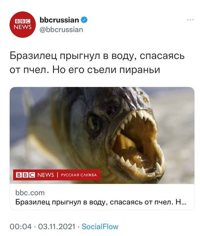 36528775_m.jpg
