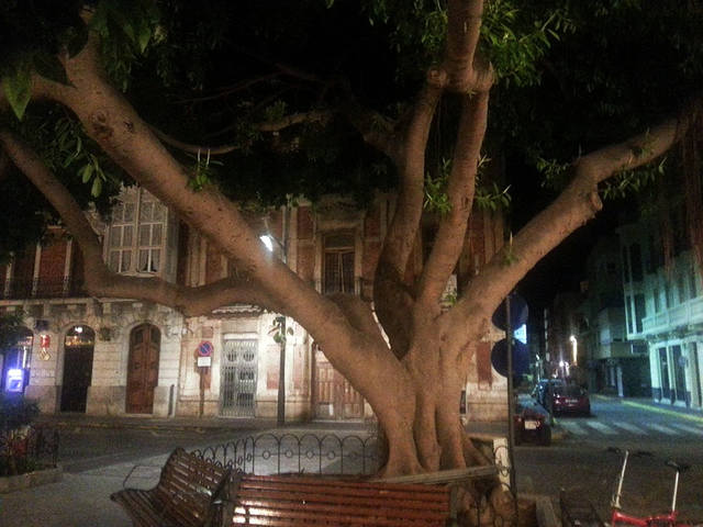 2���� ������ ���� �� ������� �������.