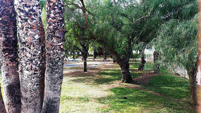 5���� ������ ���� ������� ���������