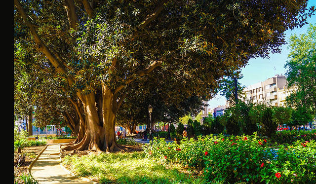 10-2���� ������.���� �� ������� ������������.