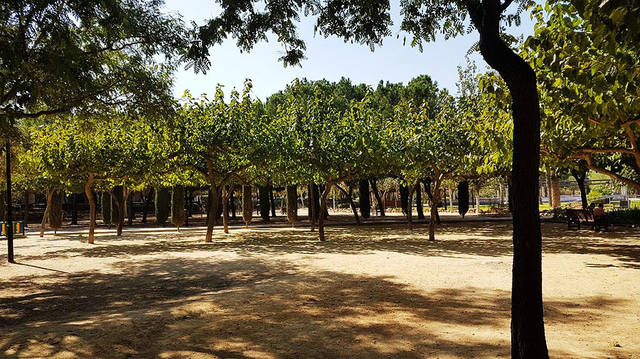 8���� ������.���� �� ����