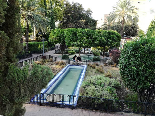 13���� ������.���� ������-����-�������