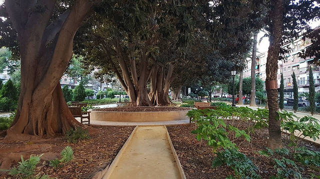 12���� ������.���� �������������.