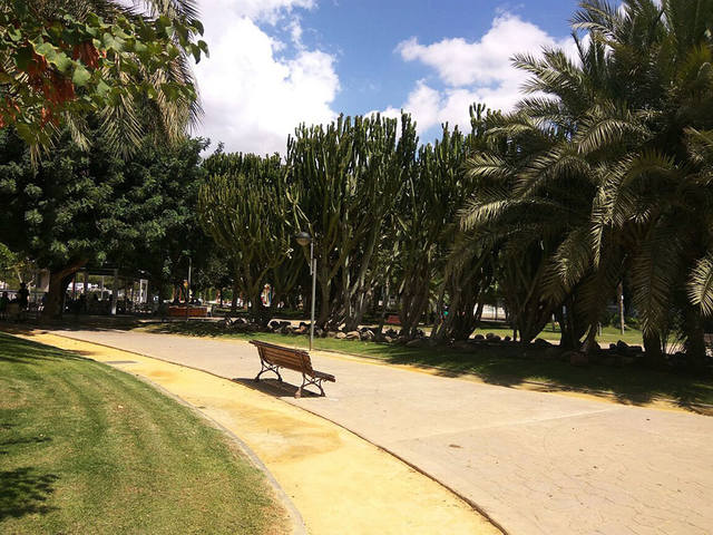 14���� ������.���� ������-����-�������