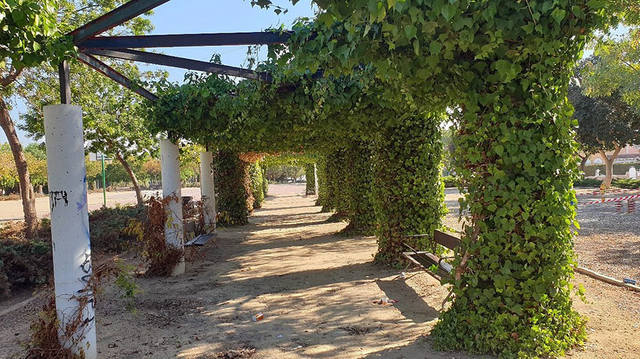 21���� ������.���� �� ������� ������������.