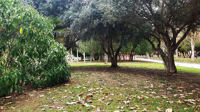 18���� ������.��� ������� ����������� ������