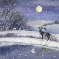 Люси Гроссмит18