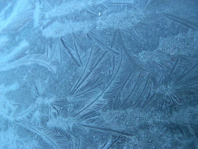 frost-patterns-on-glass