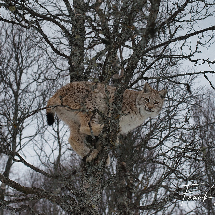 36934592.jpg