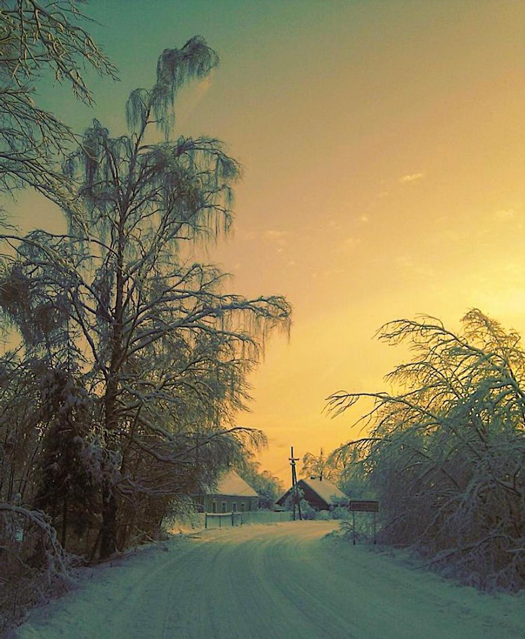 фото Екатерины11