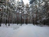 VFL.RU - ваш фотохостинг