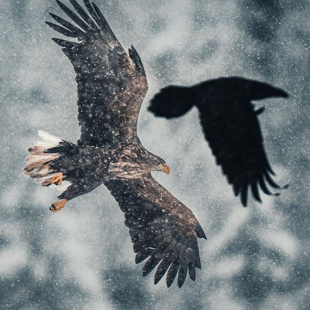 фото Конста Пункка9-2