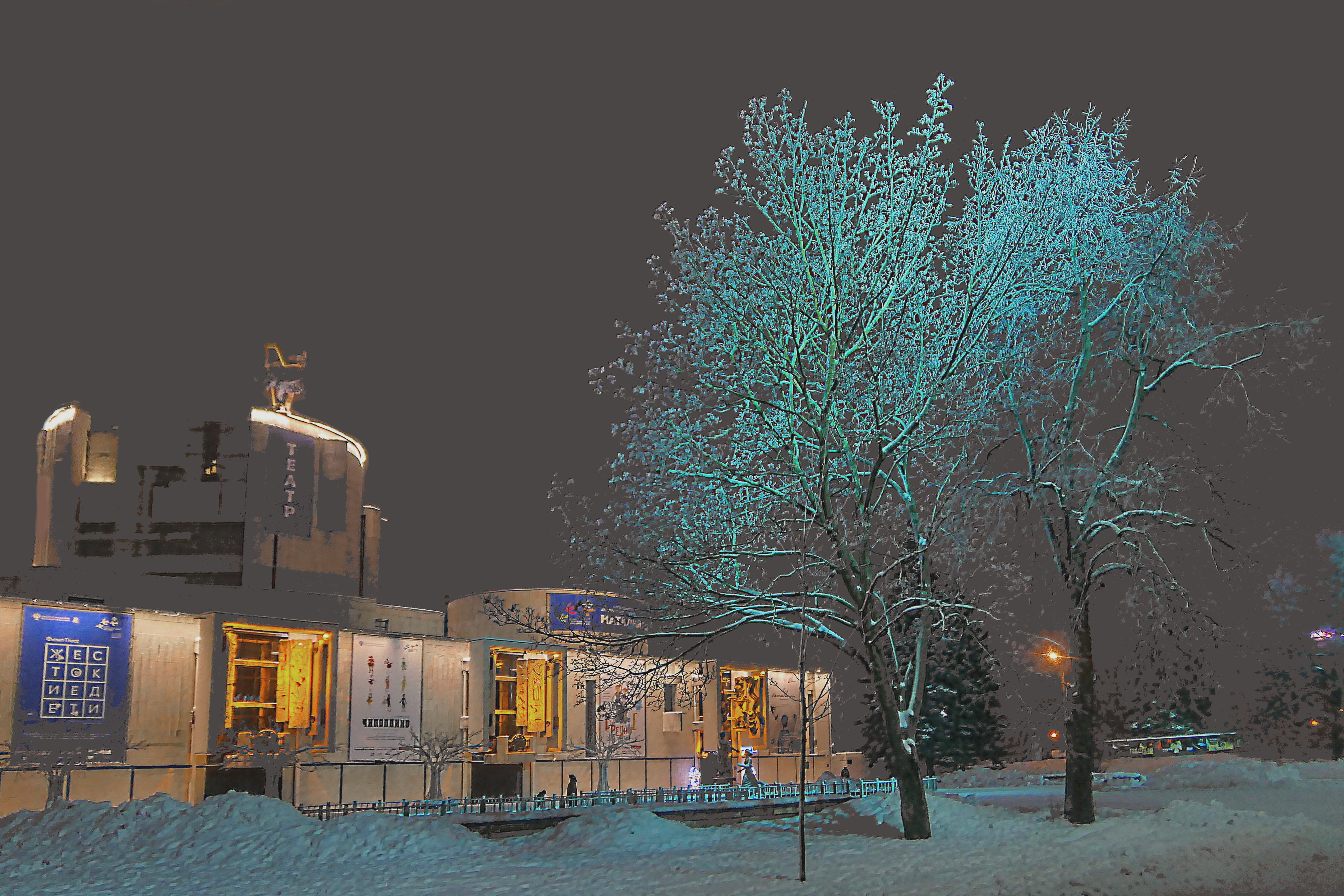 Дерево с подсветкой у Музыкального театра им. Н.Сац. Фото Морошкина В.В.