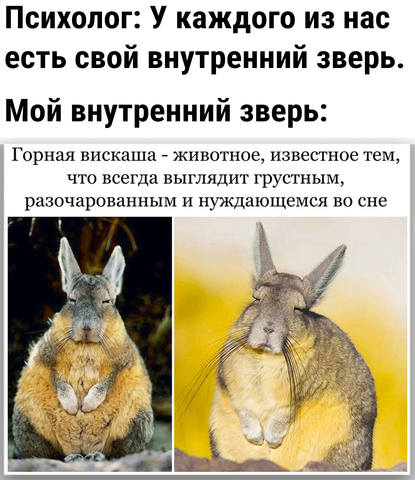 37194560_m.jpg