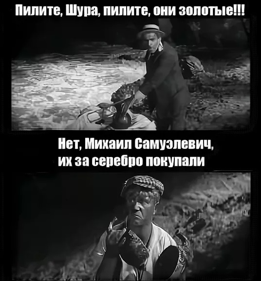 37203333.jpg