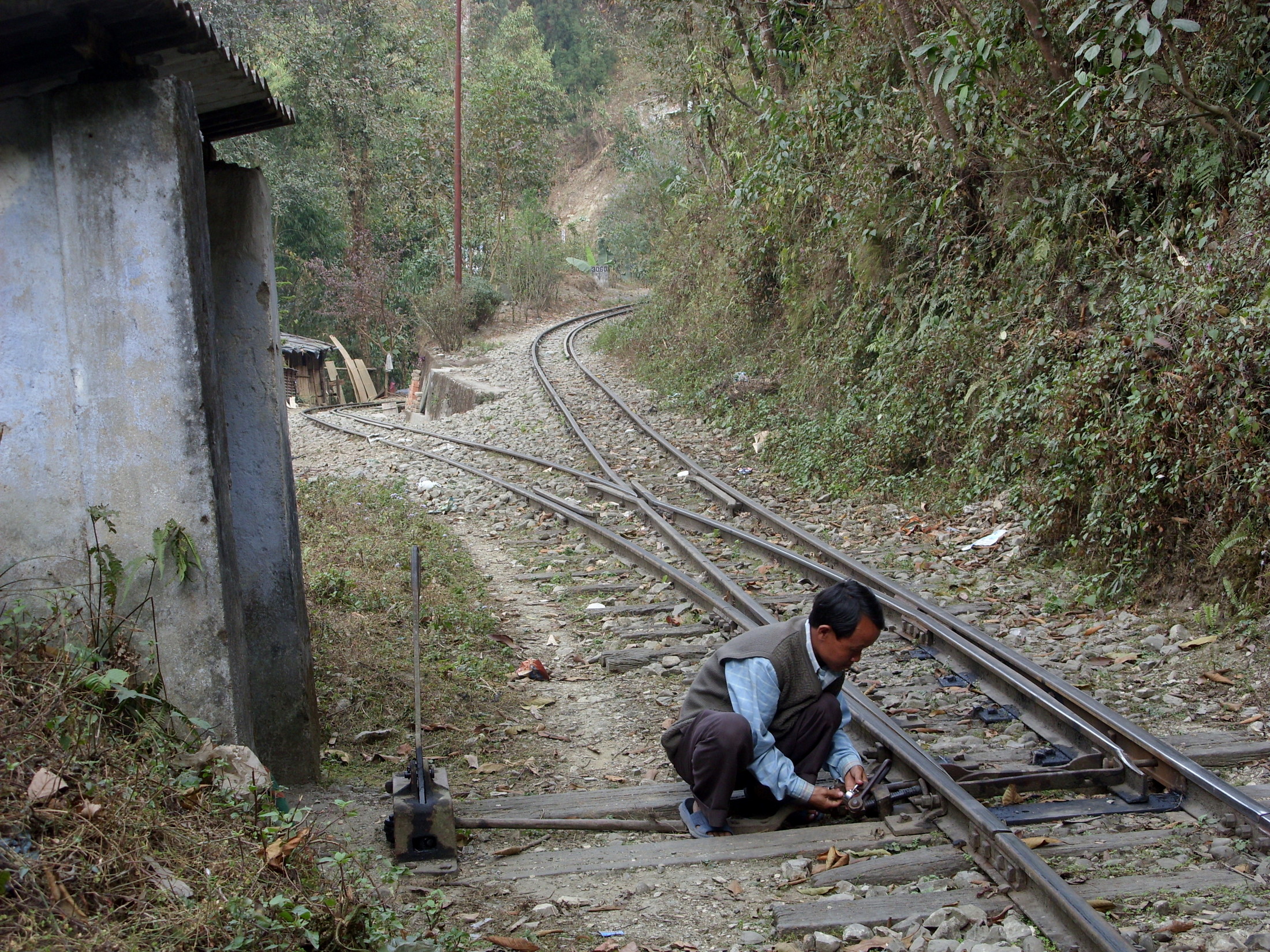 Darjeeling Railway Z Reverse.jpeg