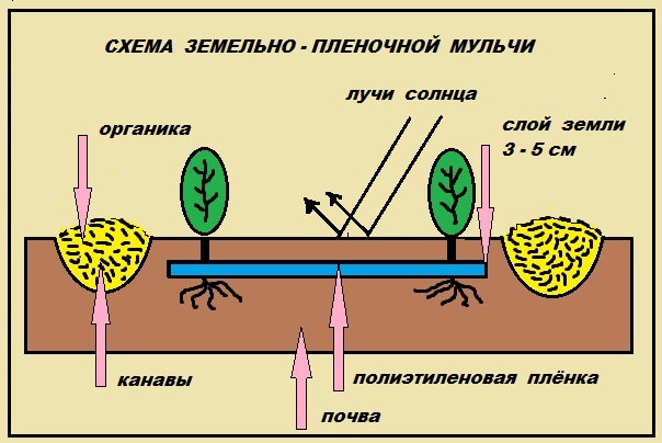 Схема мульчирования корой