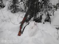 VFL.RU - ваш фотохостинг