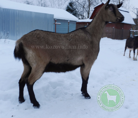 Яранга 2 Мельникова Ольга